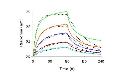 Recombinant Mouse Cd Fcgr Fc Gamma Riii Protein M H Sino