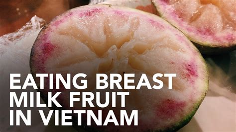 Eating Breast Milk Fruit In Vietnam Youtube