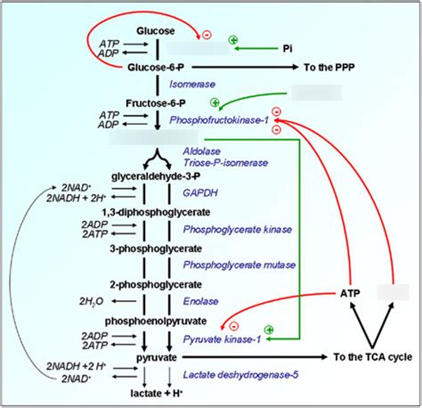 Biochemistry Ii Module Of The Mcat Self Prep Ecourse Lesson