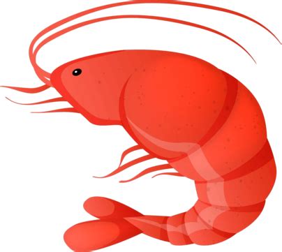 Camarones Rojos PNG Vectores PSD E Clipart Para Descarga Gratuita