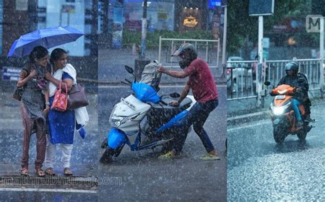 Isolated Heavy Rains Expected In Kerala Yellow Alert In Seven