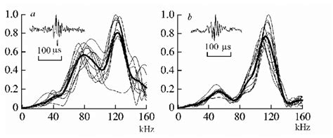 Oscillograms Of Sounds Waves Produced By Flying Moth Amphipyra