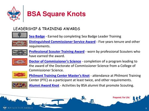 Bsa Adult Recognition Knots