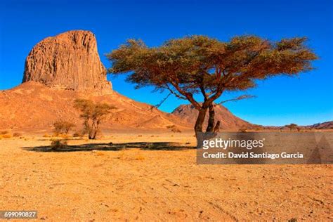 453 Hoggar Mountains Stock Photos, High-Res Pictures, and Images - Getty Images