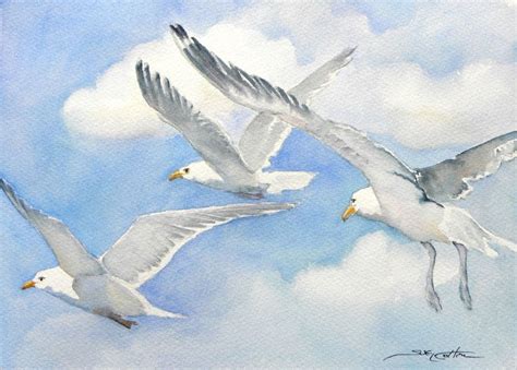 Image Result For Paintings Of Seagulls Flying Bird Art Watercolor