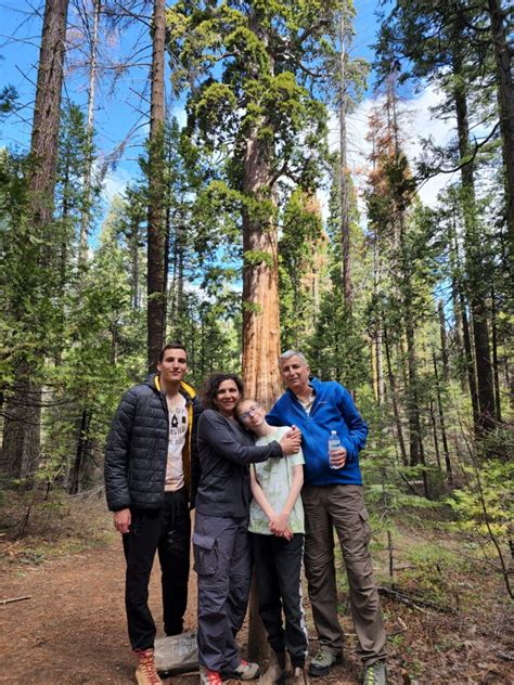 Giant Sequoias - Yosemite Adventure Co