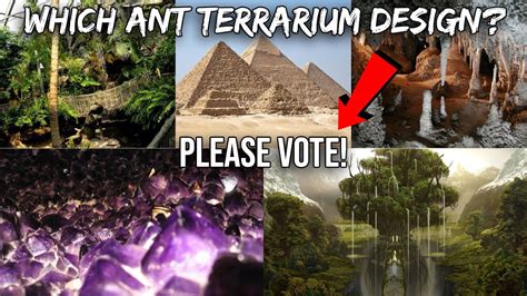 Help Me Choose a Design for my Newest Ant Terrarium - YouTube