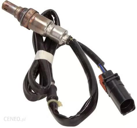 Oe Vag Sonda Lambda Audi A3 Skoda Octavia Vw 04L906262 Opinie I Ceny