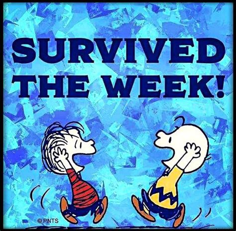 Survived The Week Pictures, Photos, and Images for Facebook, Tumblr, Pinterest, and Twitter