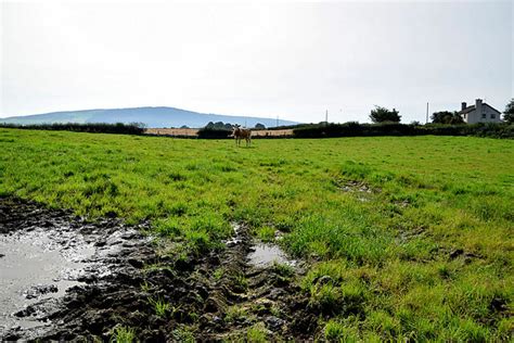 A Muddy Field Magheracoltan Kenneth Allen Cc By Sa Geograph