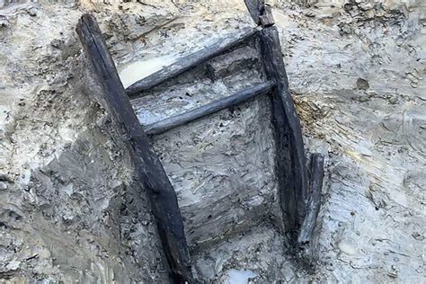 Incredibly Well Preserved 1000 Year Old Wooden Ladder Discovered In