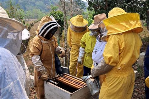 Productores de miel de Petén fortalecen sus capacidades y conocimientos