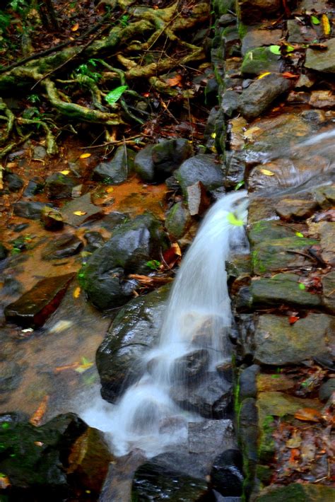 Wild Indian Explorer The Thomman Kuthu Waterfalls Of Thodupuza