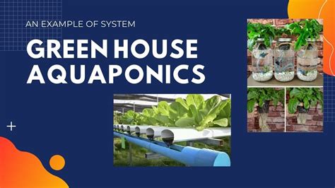 Passive Solar Greenhouse And Aquaponics Youtube