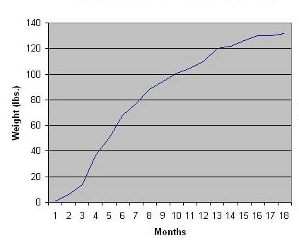 Puppy Weight Chart