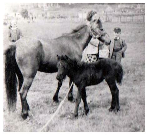 A visit in the 1950s | Brighton Zoo | My Brighton and Hove