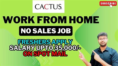 CACTUS WORK FROM HOME JOB FRESHERS JOB NO SALES JOB BEST ONLINE