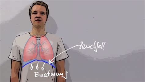 Bauchatmung Mit Dem Zwerchfell F R Lunge Und Kreislauf Cardiopraxis