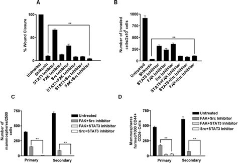 Combination Of Fak Src And Stat3 Inhibitors Is More Potent Than