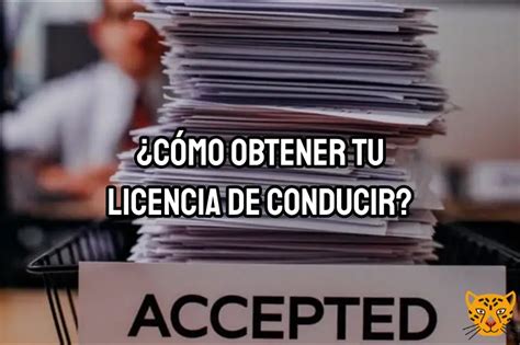 C Mo Tramitar Mi Licencia De Conducir En Chiapas Gu A