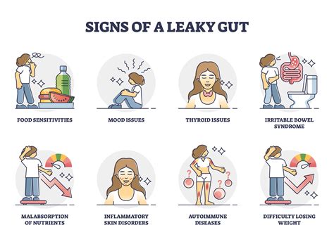 Understanding Leaky Gut: What You Need to Know - Global Transformation