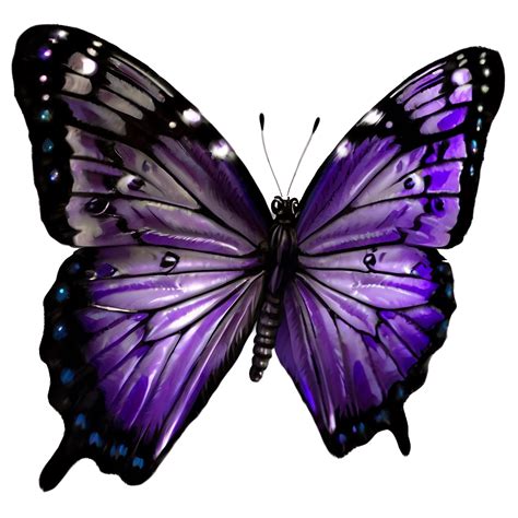 Purple Butterfly Png Images 300