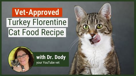 Easy To Make Homemade Cat Food Recipe Violets Turkey Florentine