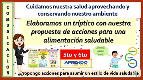 Elaboramos Un Triptico Con Nuestra Propuesta De Acciones Para Una