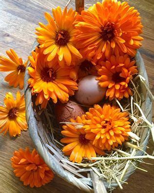 Fall Wreath Growing Wreaths Gathered Flowers Google Home Decor