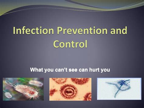 Ppt Infection Prevention Control Powerpoint Presentation Free Hot Sex Picture