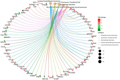 Reduce The Number Of Nodes Appear In The Cnetplot Of Clusterprofiler