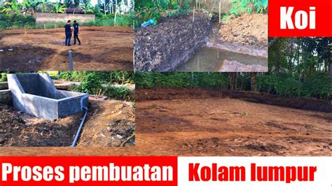 Proses Pembuatan Kolam Lumpur Untuk Kolam Pembesaran Ikan Koi Kolam