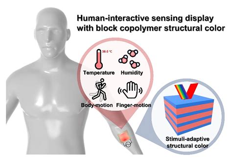 Stimuli Adaptive And Human Interactive Sensing Displays Enabled By