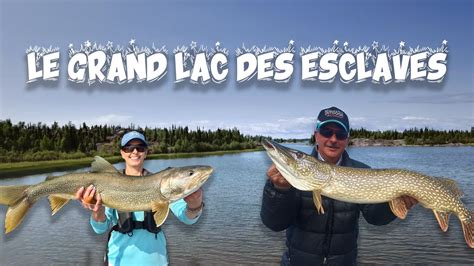 TRUITES BROCHETS Du GRAND LAC Des ESCLAVES Yellowknife Canada