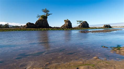 Complete Guide to Lincoln City, Oregon: Best Beaches and More