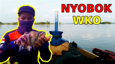 Mancing Nyobok Di Waduk Kedung Ombo Ikan Nila Tilapia Fishing Wko