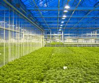 Indoor Agriculture Withair Heating And Cooling Air Conditioning