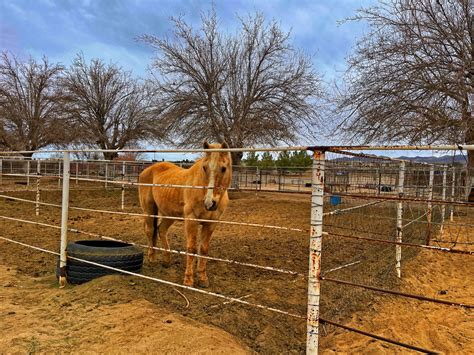 Cowboy Ranch – Ideal Sets-Standing Sets Los Angeles