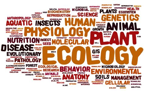 Biology Major Requirements Advanced Biology Coursework