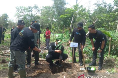 Pj Gubernur Babel Minta PWI Ikut Berpartisipasi Tanam Satu Juta Pohon