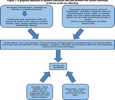 Table 1 From Conceptualisation Of A Criminological Theoretical