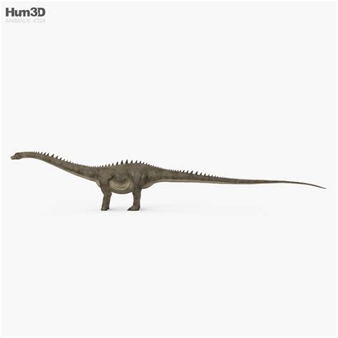 Diplodocus Hd 3d Model Animals On Hum3d