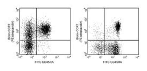 Cd Ccr Rat Anti Human Biotin Clone D Bd Tests Biotin