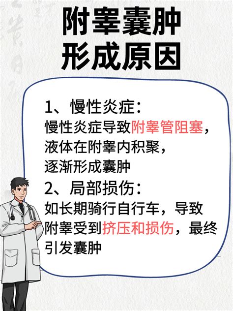 附睾囊肿：原因解析、治疗选择与预防之道 家庭医生在线家庭医生在线首页频道