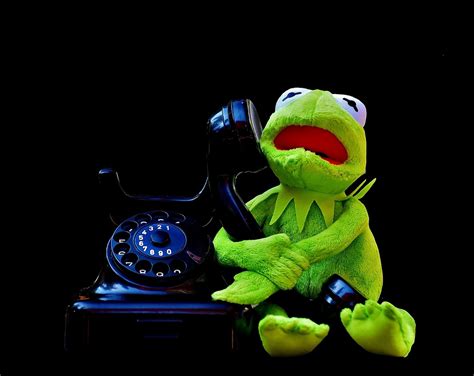 500 Free Kermit And Frog Images Pixabay