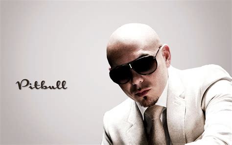 Quotes From The Singer Pitbull. QuotesGram