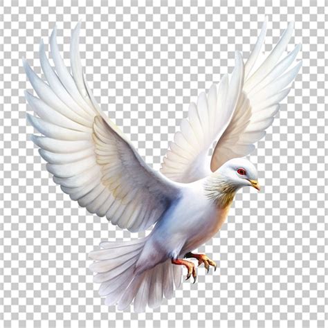 Premium Psd White Pigeons Set