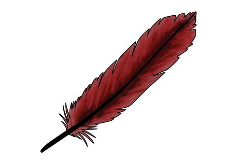 How to Draw a Feather | Design School