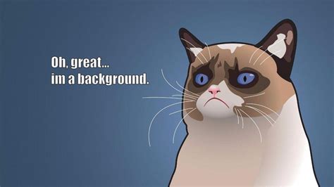 Grumpy Cat Meme Wallpapers - Top Free Grumpy Cat Meme Backgrounds ...