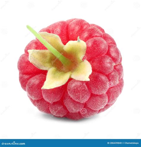 One Tasty Ripe Raspberry Isolated On White Stock Photo Image Of